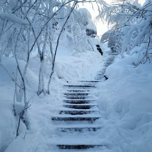 Stairway to winter