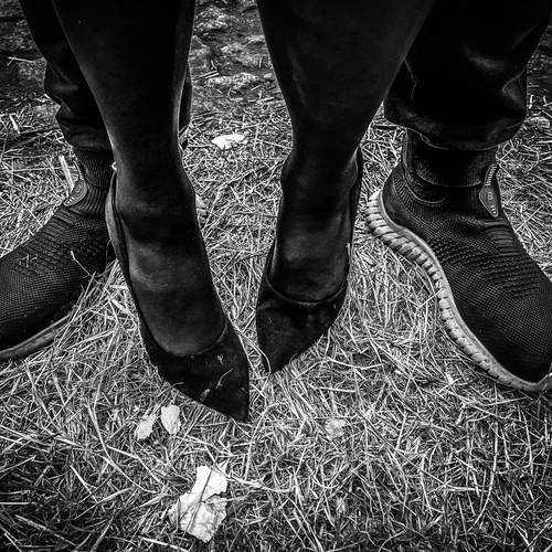 Photo #11864376