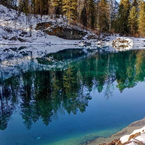 Photo #11864405