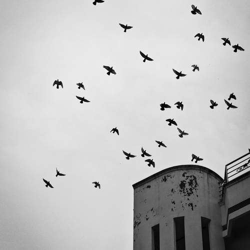 Photo #11864441