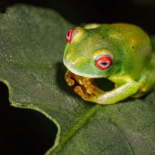 Photo #11864603