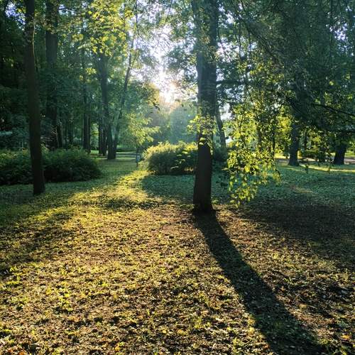 Photo #11864651