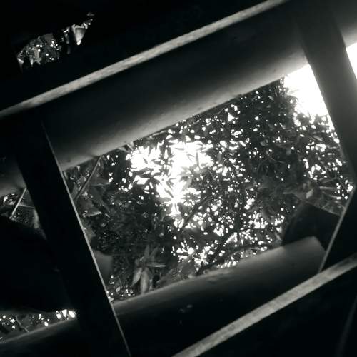 Photo #11864667