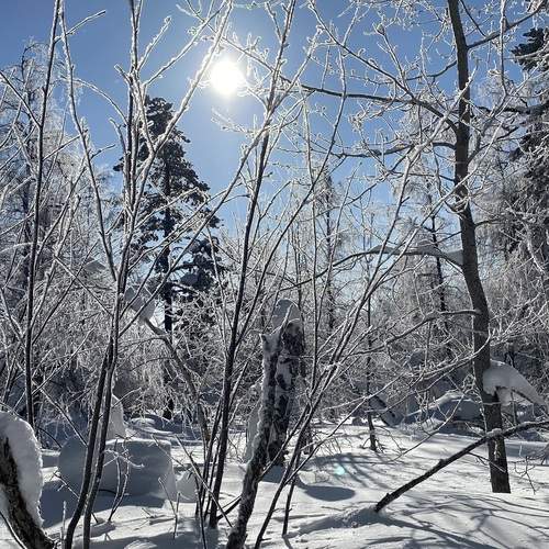Photo #11864764
