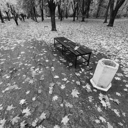 Photo #11864956