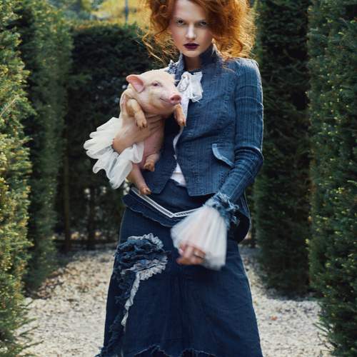 Photo #11865005