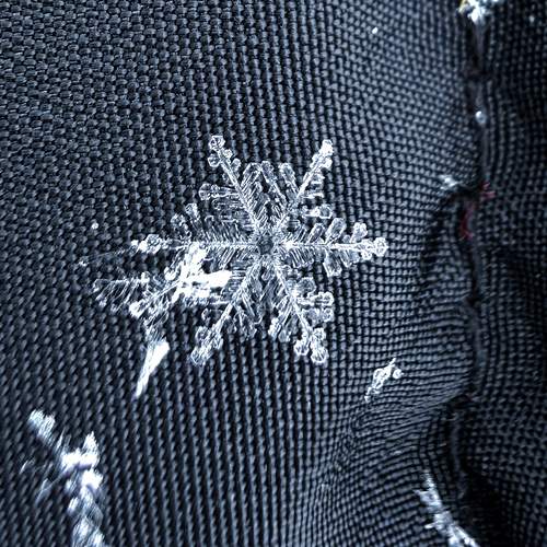 Photo #11865250