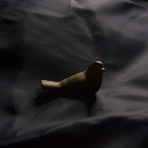 Photo #11865322