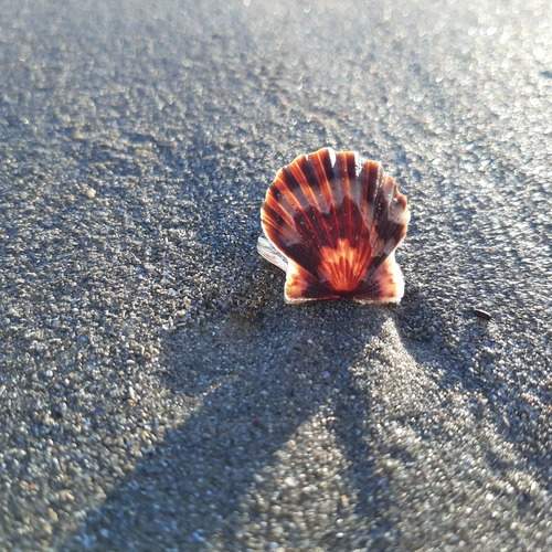 Photo #11865410