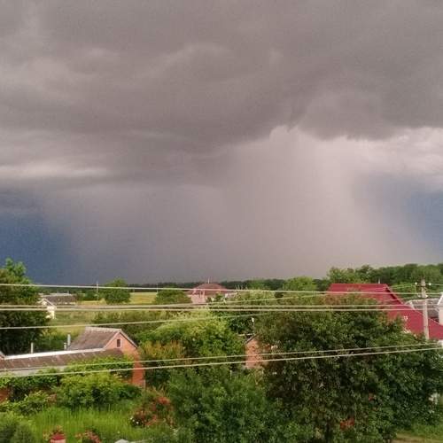 Photo #11865425