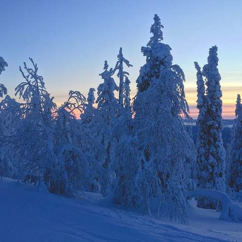 Фотография #11865478