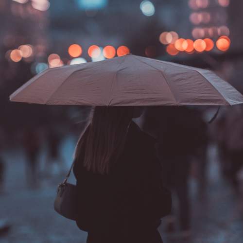 Photo #11865653