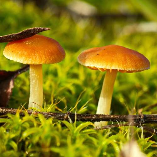 Photo #11865689
