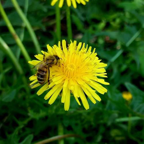 Photo #11865757