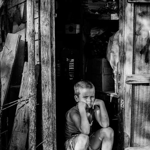 Photo #11865947