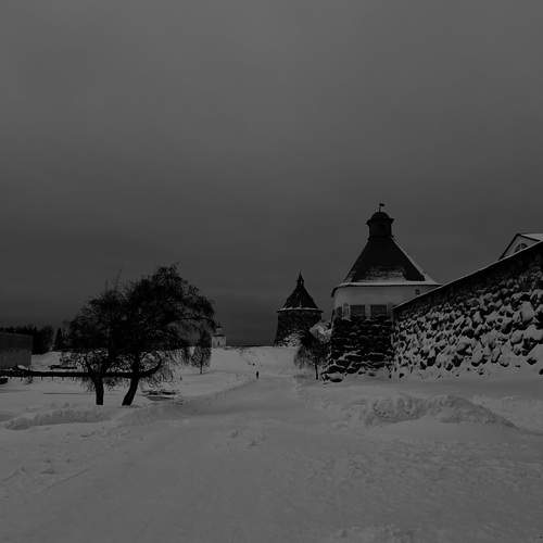 Photo #11865961