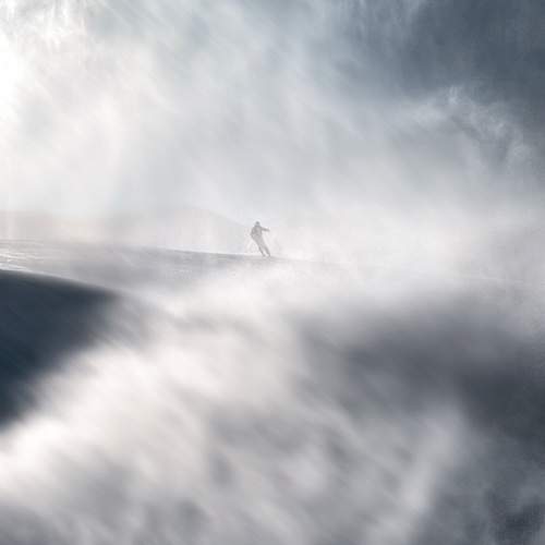 Photo #11865966