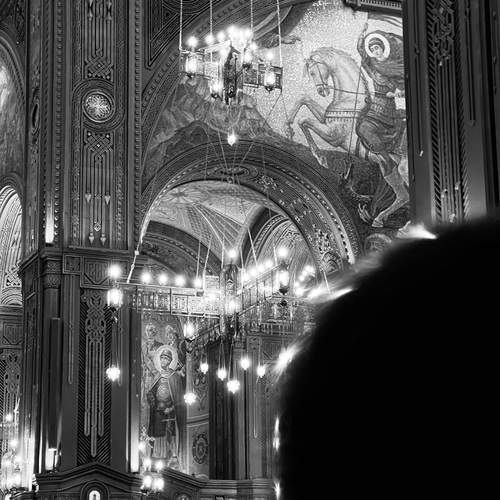 Photo #11865994