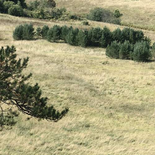 Photo #11866327