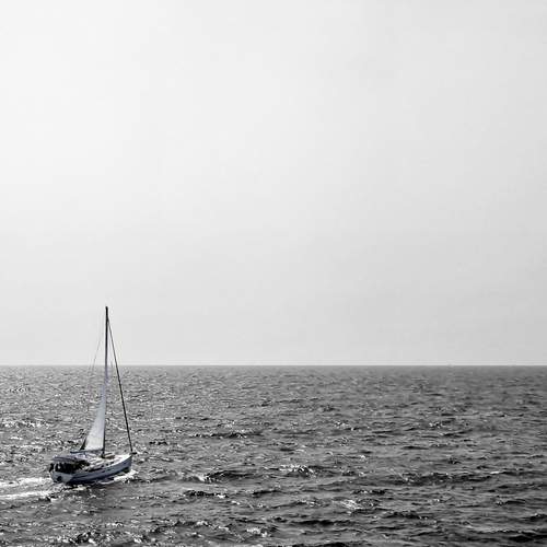 Photo #11866443