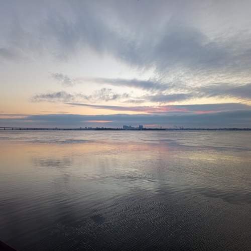 Photo #11866470