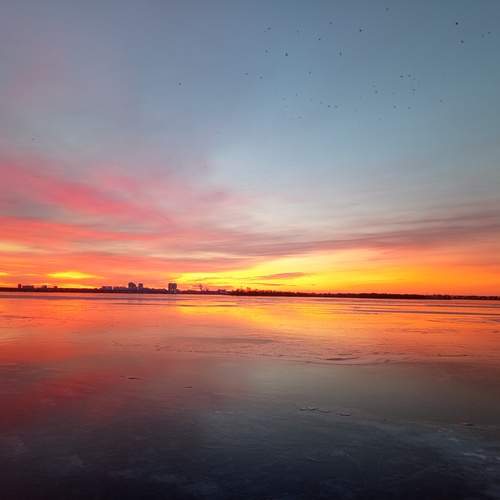 Photo #11866471