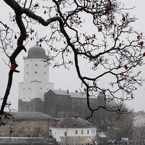 Photo #11866515