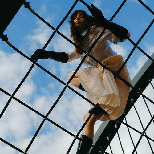 Photo #11866533