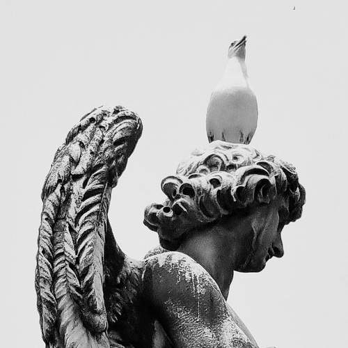 Photo #11866554