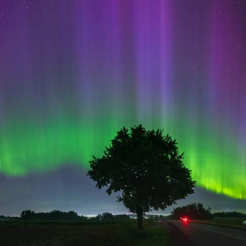 Фотография #11866656