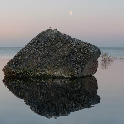 Фотография #11866685