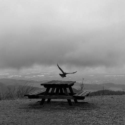 Photo #11866741