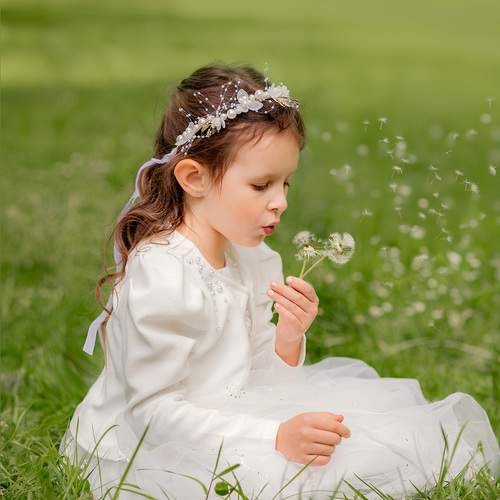 Photo #11866879