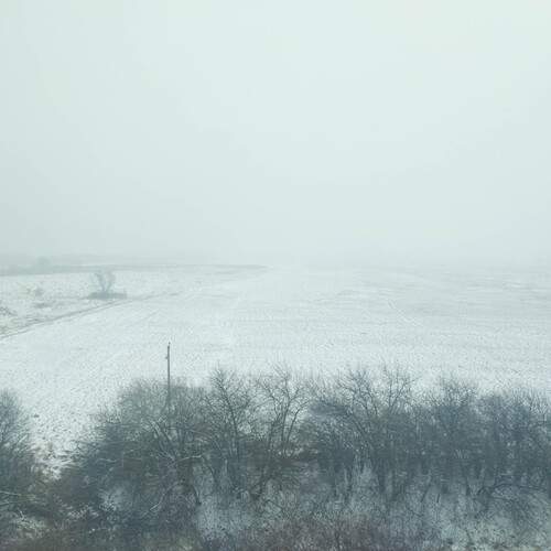 Photo #11867060