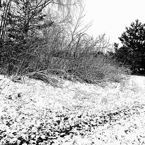 Photo #11867457