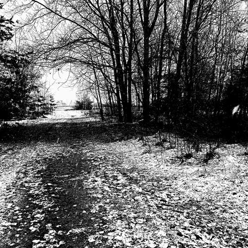 Photo #11867476
