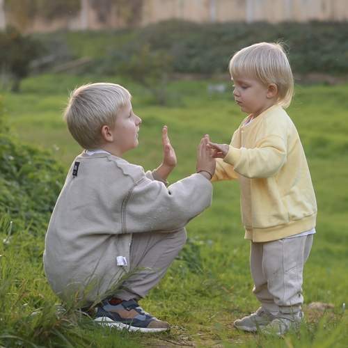 Photo #11867566