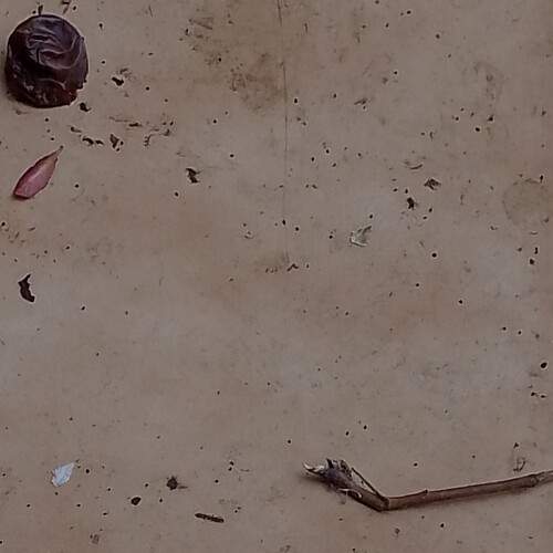 Photo #11867728