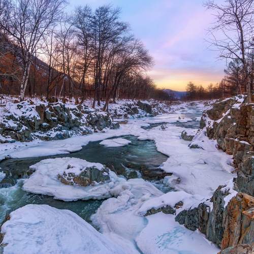 Photo #11867796