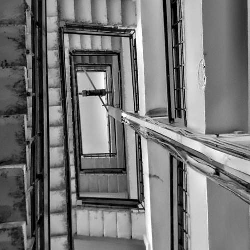 Photo #11867823
