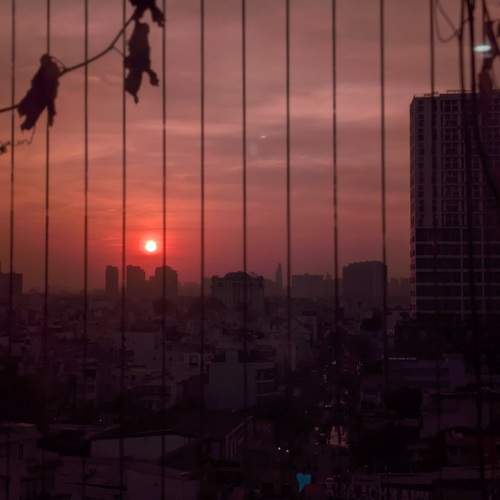 Photo #11867963
