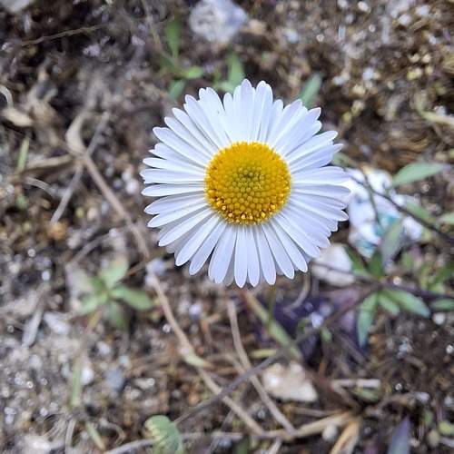 Photo #11867964