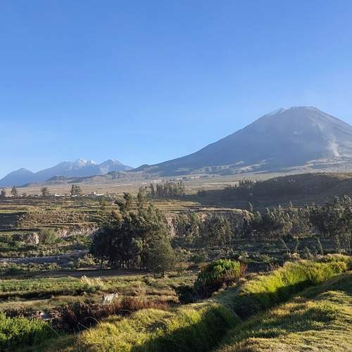 Photo #11868040