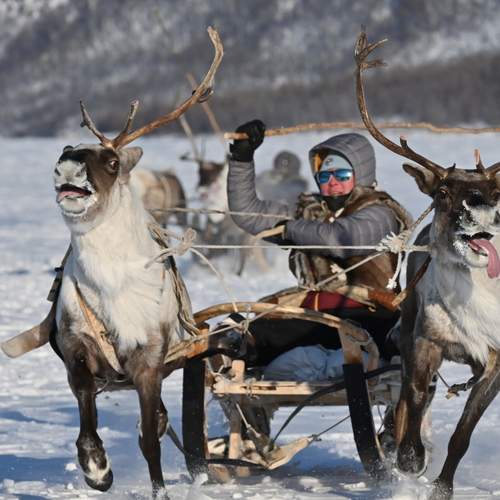 Photo #11868050
