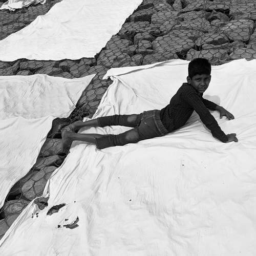 Photo #11868252