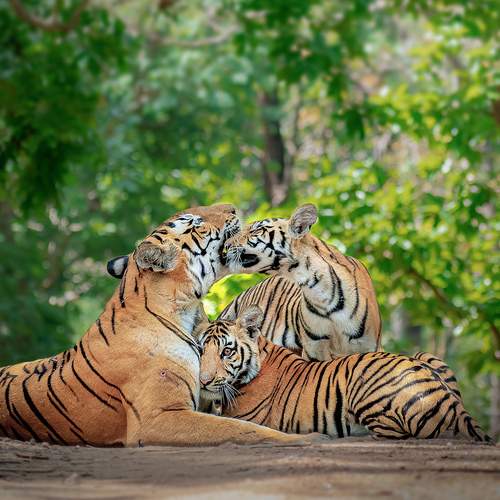 The warmth of a family