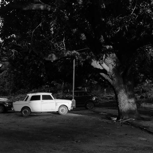 Photo #11868293