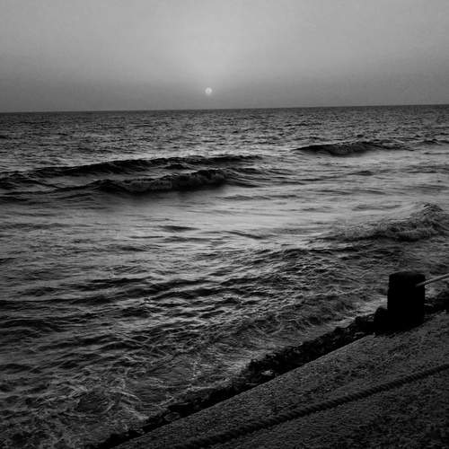 Photo #11868310