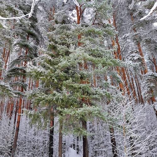 Photo #11868375