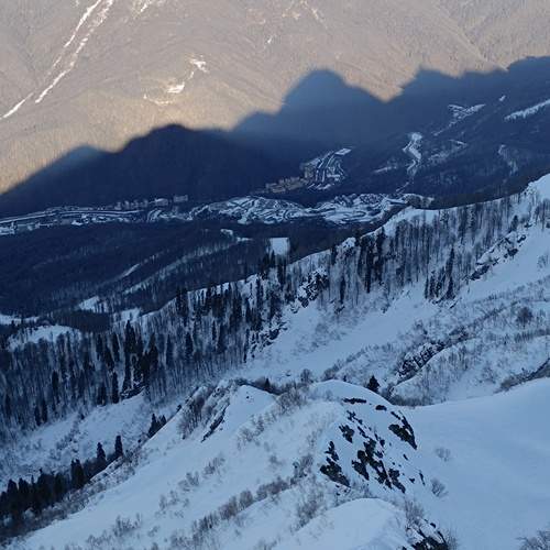 Photo #11868524